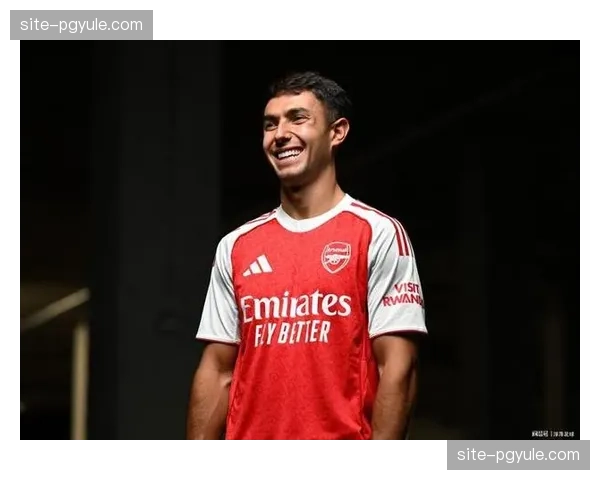 技术型中场维尔茨与祖比门迪加盟，改变英超中场格局