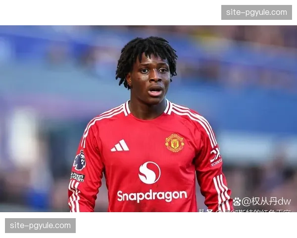 英超升班马整体表现挣扎 适应顶级联赛强度需时日