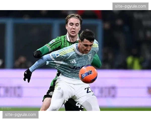 萨索洛主场二比一逆转乌迪内斯 皮纳蒙蒂制胜进球